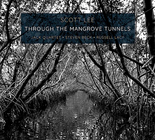 Scott Lee: Through The Mangrove Tunnels