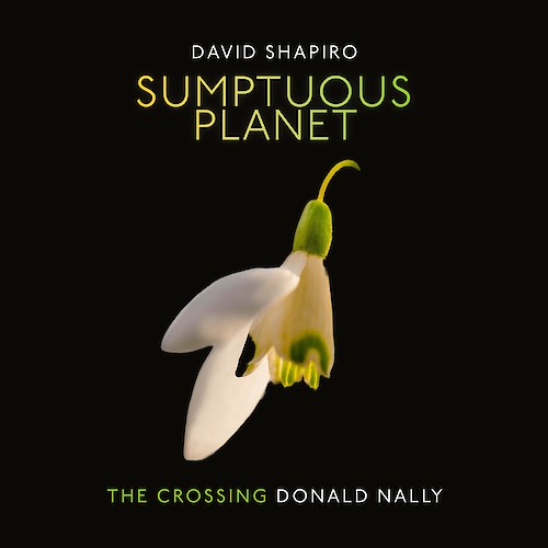 The Crossing & David Shapiro - Sumptuous Planet